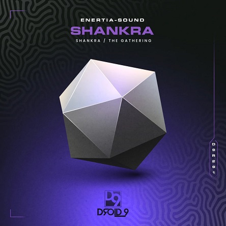 Enertia-sound - Shankra (Original Mix)
