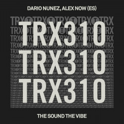 Dario Nunez, Alex Now (ES) - The Sound The Vibe (Extended Mix)
