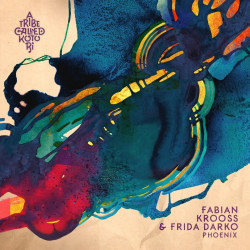 Fabian Krooss, Frida Darko - Phoenix (Original Mix)
