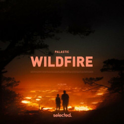 PALASTIC - Wildfire (Extended)