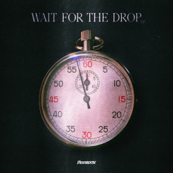 Justin Jay;Bayer & Waits - Wait for the Drop