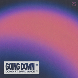 Ookay feat. David Vance - Going Down