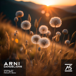 Arni - Dandelions (ALAT Extended Remix)