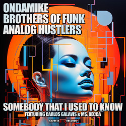 Brothers Of Funk, Ondamike, Carlos Galavis, Analog Hustlers, Ms. Becca - Somebody That I Used To Know
