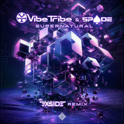 Vibe Tribe & Spade - Supernatural (X-side Remix)