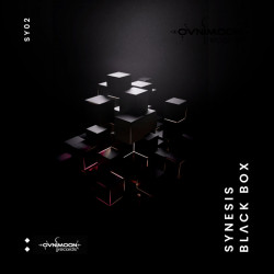 Synesis - Black Box (Original Mix)