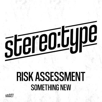 Risk Assessment - SOMETHING NEW (MY DONNA)