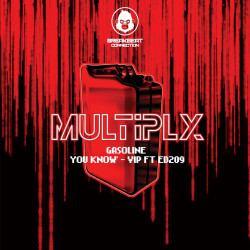 Ed 209, Multiply - You Know (V.I.P Mix)