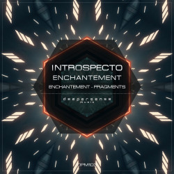 Introspecto - Fragments (Original Mix)