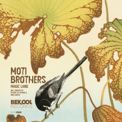 Moti Brothers - Magic Land (Niko Garcia Remix)