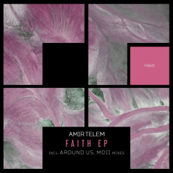 Amir Telem - Holding On (MOii Remix)
