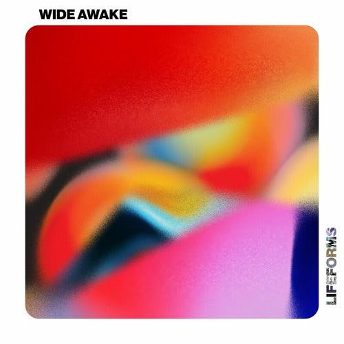 Tim Engelhardt & Jyll - Wide Awake (Club Edit)