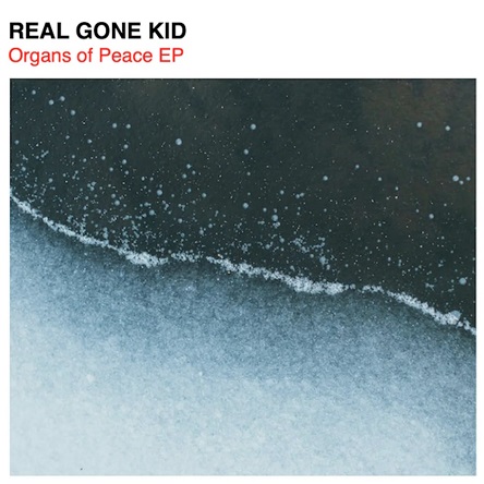 Gone Kid - Organs & Soul (Original Mix )
