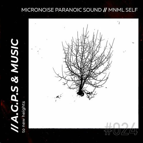 Micronoise Paranoic Sound - The Prodigy (Original Mix)