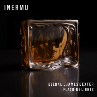 Djebali & James Dexter - Flashing Lights (Original Mix)