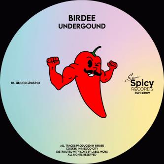 Birdee - Undergound (Original Mix)