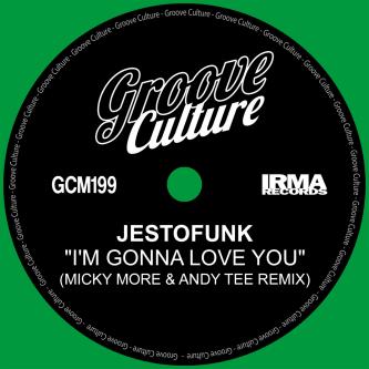 Jestofunk - I'm Gonna Love You (Micky More & Andy Tee Remix Edit)