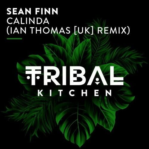 Sean Finn - Calinda (Ian Thomas Extended Remix)