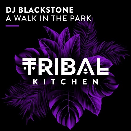 DJ Blackstone - A Walk in the Park (Extended Mix)