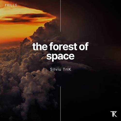 Silviu TriK - The forest of Space (Original Mix)