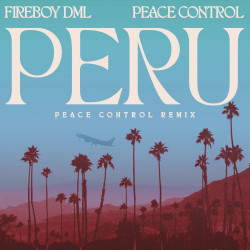 Fireboy DML, Peace Control - Peru (Peace Control Remix)