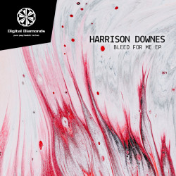 Harrison Downes - Bleed For Me (Original Mix)