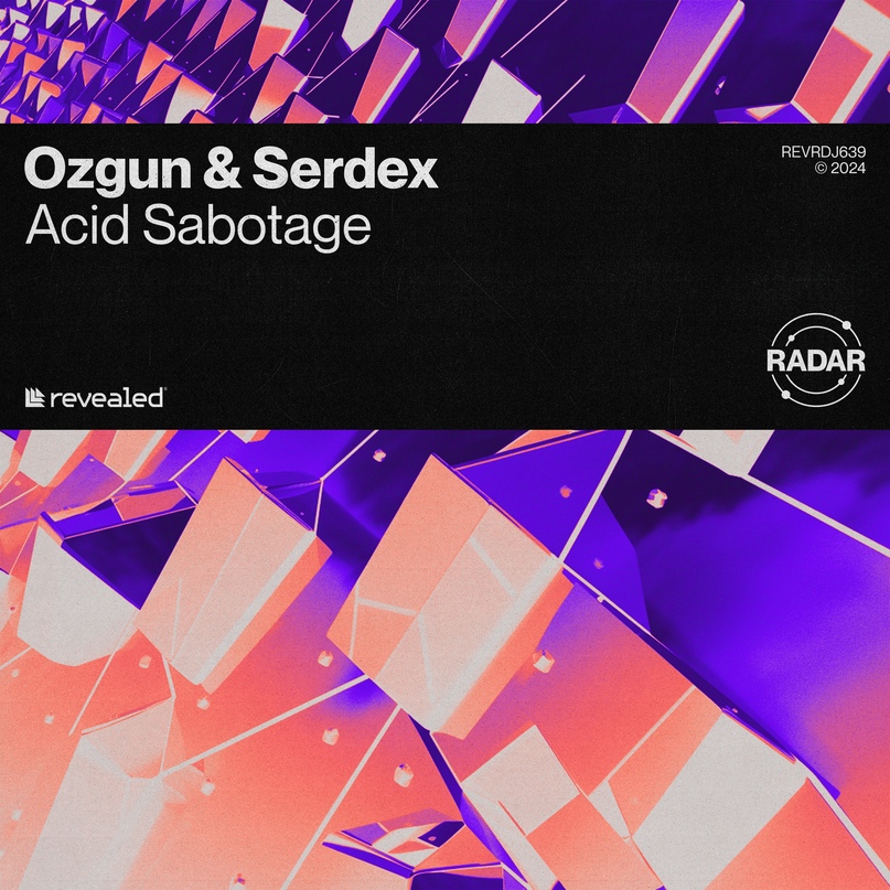 Ozgun & Serdex - Acid Sabotage (Extended Mix)