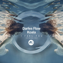 Koala Feat. Darles Flow - I Feel You (Original mix)