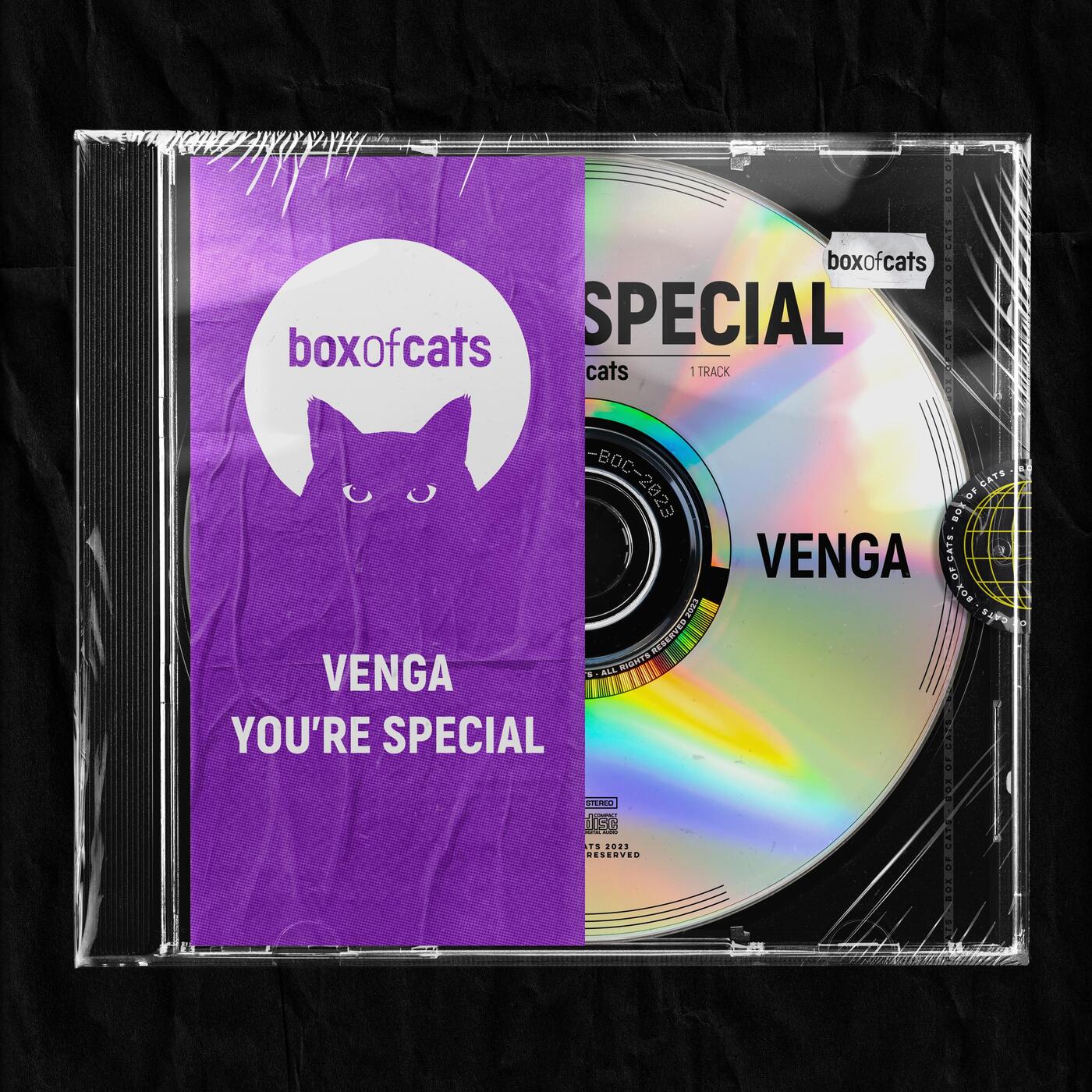 VENGA - You're Special (Extended Mix)