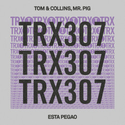 Tom & Collins, Mr. Pig - Esta Pegao (Extended Mix)