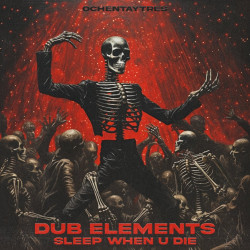 Dub Elements - Sleep When U Die