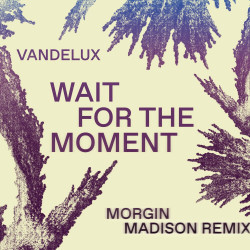 Vandelux, BUZZ - Wait For The Moment (Morgin Madison Remix)