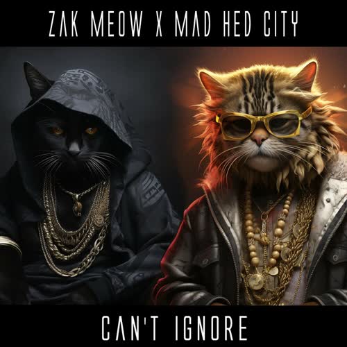Zak Meow x Mad Hed City - Can't Ignore