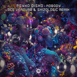 Psyko Disko - Nobody (Ace Ventura & Skizologic Remix)