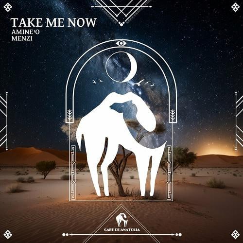 Cafe De Anatolia, Amine'O, Menzi (MAR) - Take Me Now (Original Mix)