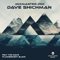 Dave Shichman - Felt The Wave
